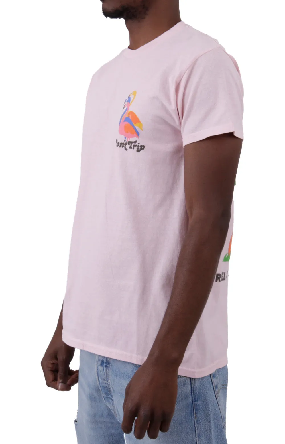 Vintage Flamingos Tee - Soft Blush